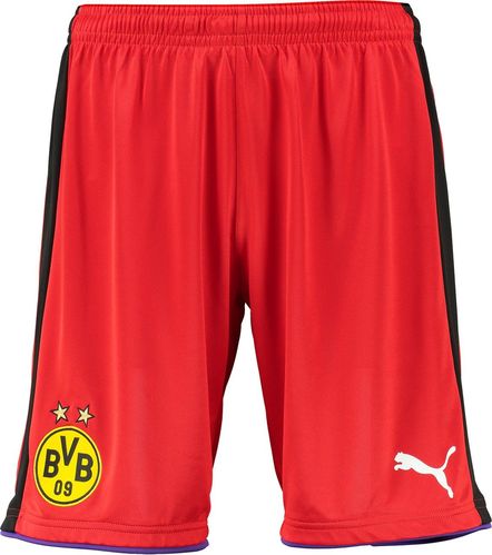 [해외][Order] 16-17  Borussia Dortmund(BVB)  GK Shorts 