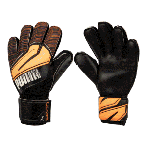 PUMA ULTRA Protect 2 RC GK Glove (04170201)