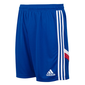 [Order] 14-15 Bayern Munchen Training Shorts - Royal