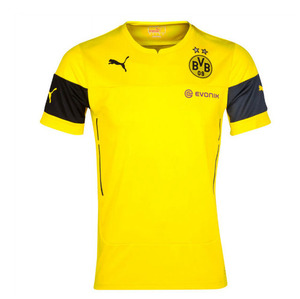 [Order] 14-15 Borussia Dortmund (BVB) Training Shirt - Yellow