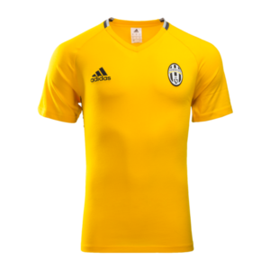 [해외][Order] 16-17 Juventus Training Tee - Collegiate Gold/Dark Grey/Solid Grey