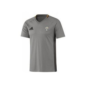 [해외][Order] 16-17 Juventus Training Tee - Solid Grey/Dark Grey/Collegiate Gold