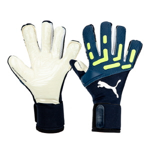 FUTURE Pro Hybrid GK Glove (04184205)
