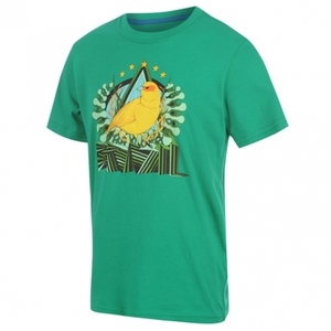 [Order] 14-15 Brasil (CBF) Core Plus T-Shirt - Green