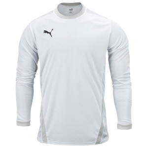 TeamGoal 23 Jersey L/S (70426004)